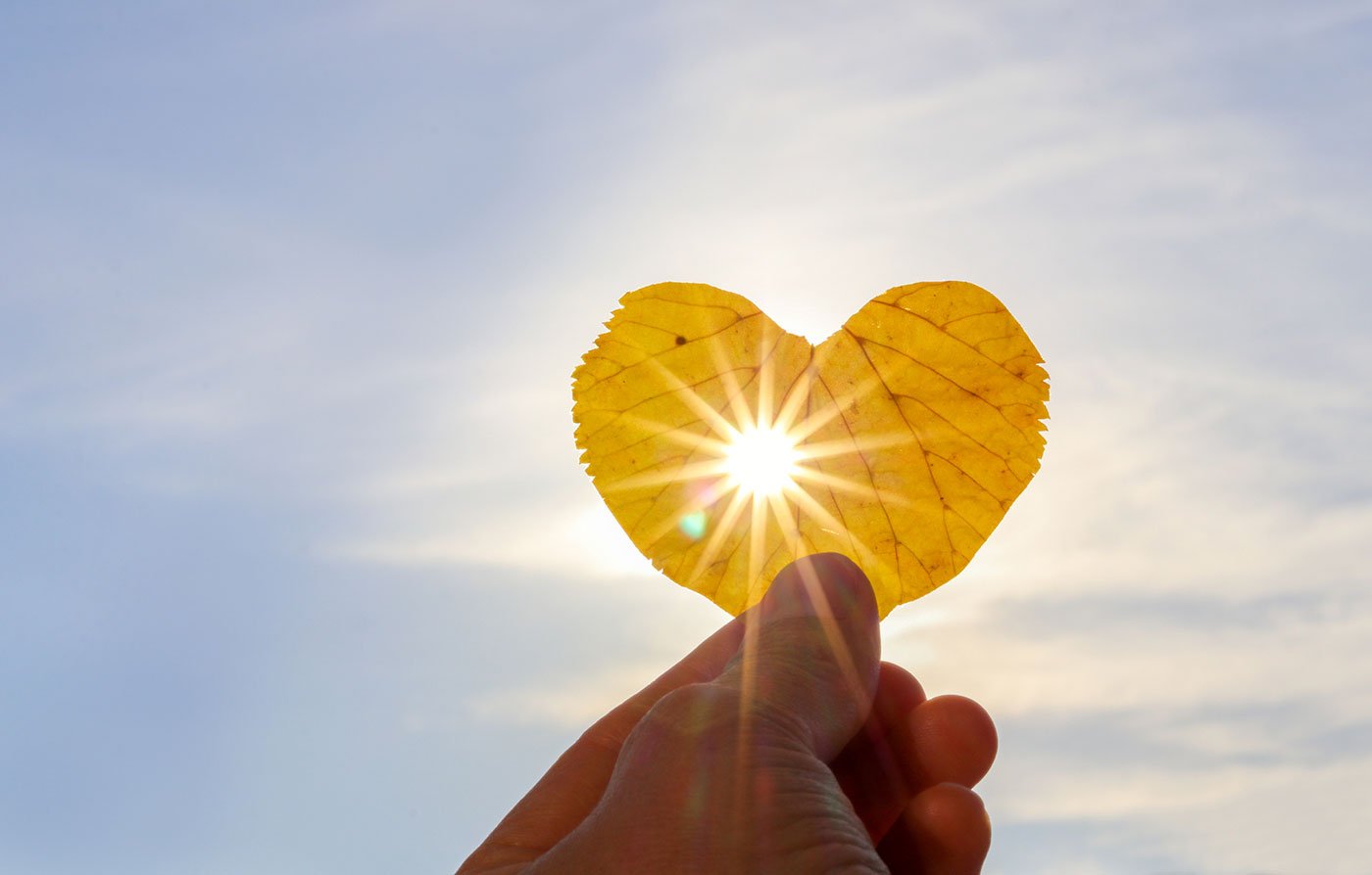 leaf heart